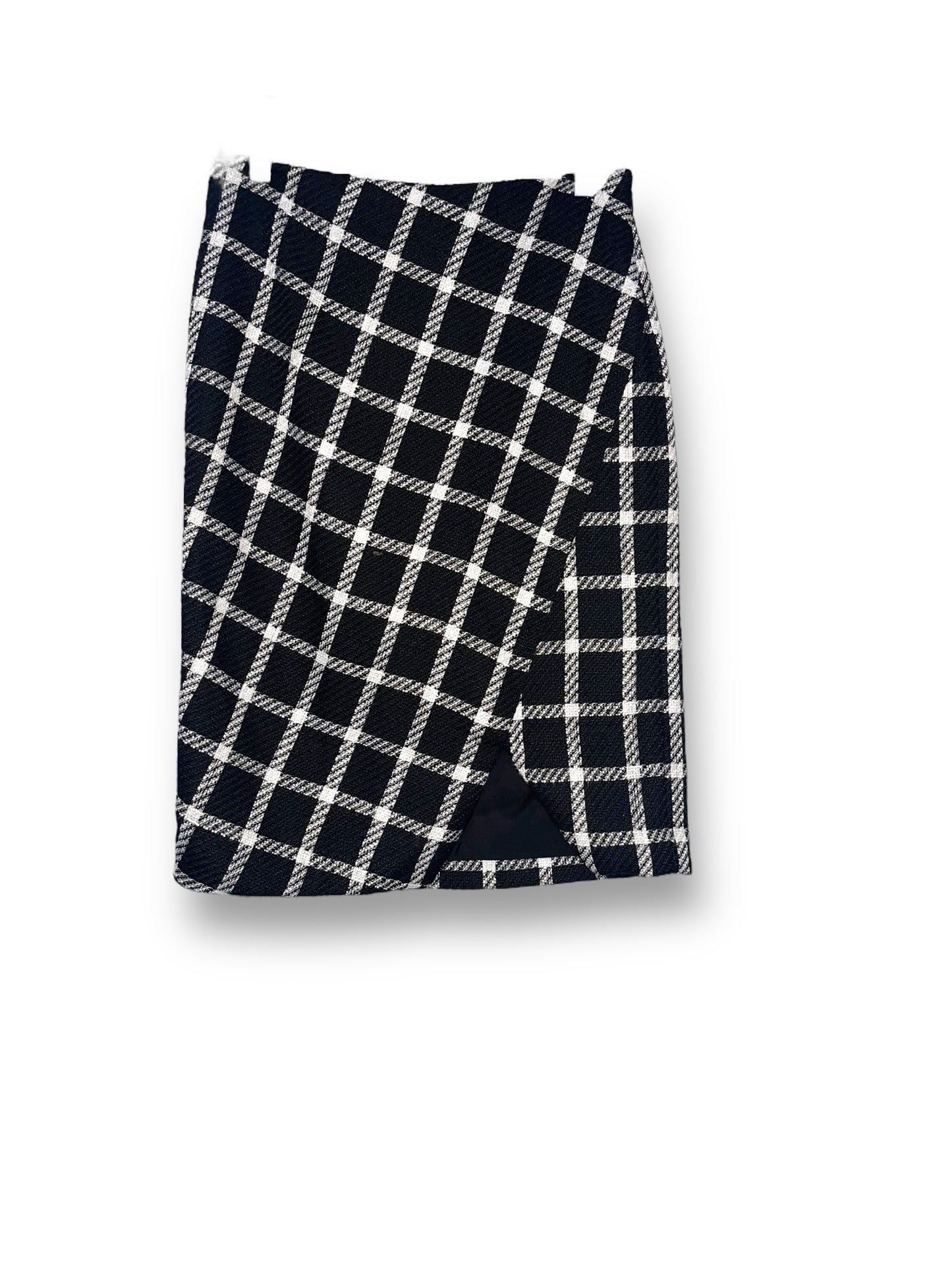 Ann Taylor Skirt