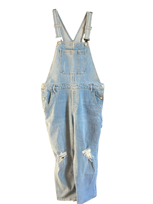 Wild Fable Overalls